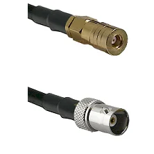 fieldcomponents202607190529202325516