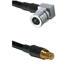 fieldcomponents202607190533302326554