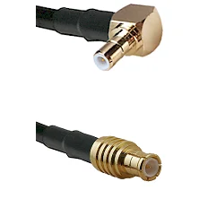 fieldcomponents202607190536562327468