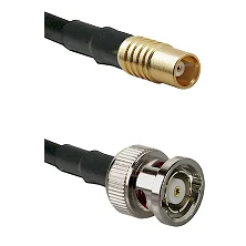 fieldcomponents202607190544022329270