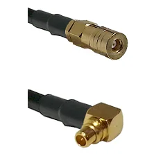 fieldcomponents202607190559302333094