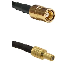 fieldcomponents202607190616542337491