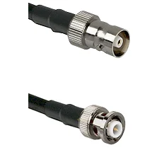 fieldcomponents202607190841002373433