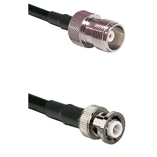 fieldcomponents202607190851282375871