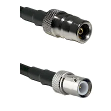 fieldcomponents202607190914302381562