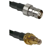 fieldcomponents202607190955452391706