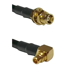 fieldcomponents202607191000022392770