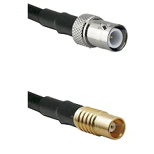 fieldcomponents202607191037112402312