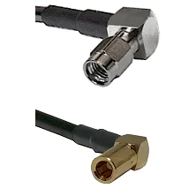 fieldcomponents202607191121302413579