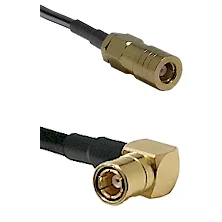 fieldcomponents202607191137512417862