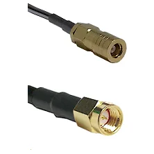 fieldcomponents202607191138012417901