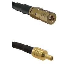 fieldcomponents202607191158502423305