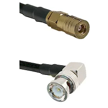 fieldcomponents202607191159512423555