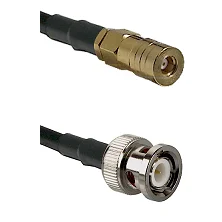 fieldcomponents202607191211252426552