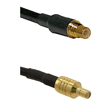 fieldcomponents202607191216462427862