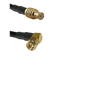 fieldcomponents202607191251452436503