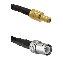fieldcomponents202607191258092438199