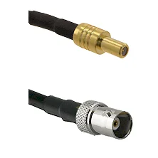 fieldcomponents202607191258092438200