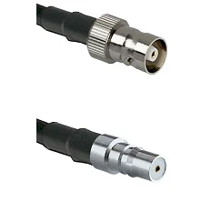 fieldcomponents202607191259282438529