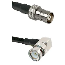 fieldcomponents202607191259532438631