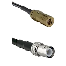 fieldcomponents202607191327142444783