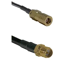 fieldcomponents202607191327282444839