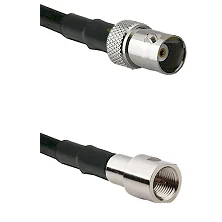 fieldcomponents202607191456402463483