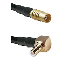fieldcomponents202607191459022464025