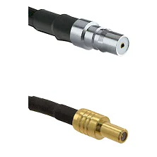 fieldcomponents202607191502072464775