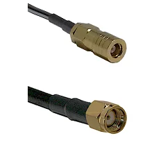 fieldcomponents202607191503242465081