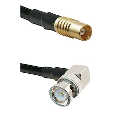 fieldcomponents202607191708172494411