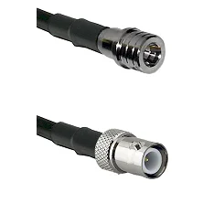 fieldcomponents202607191730232499976