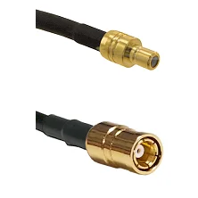 fieldcomponents202607191743312503580