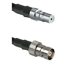 fieldcomponents202607191747392504783