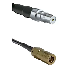 fieldcomponents202607191747492504832