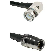 fieldcomponents202607191750382505634
