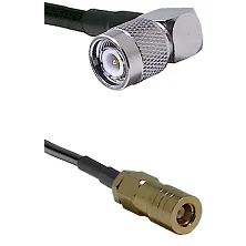 fieldcomponents202607191802022508845
