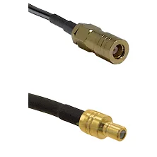 fieldcomponents202607191806432510229