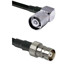 fieldcomponents202607191811072511440