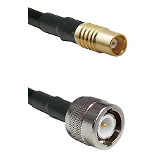 fieldcomponents202607191905312527524