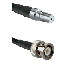 fieldcomponents202607191907062528016