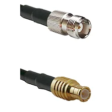 fieldcomponents202607191912432529810