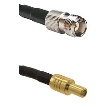 fieldcomponents202607191912462529830