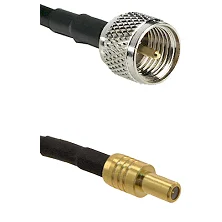 fieldcomponents202607191916062530839