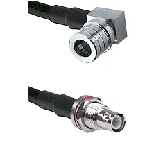 fieldcomponents202607191946492539368