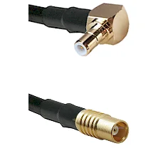fieldcomponents202607191950042540156