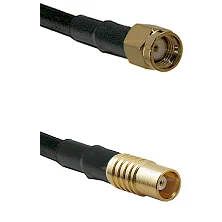 fieldcomponents202607192009382543695