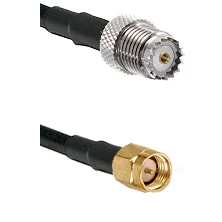 fieldcomponents202607192056282551973