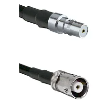 fieldcomponents202607192103082553294