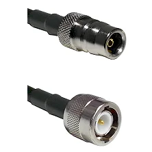 fieldcomponents202607192107592554093